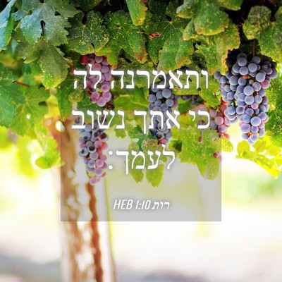 Picture 04 - רות 1:10 HEB - ותאמרנה לה כי אתך נשוב - Bible Verse Picture