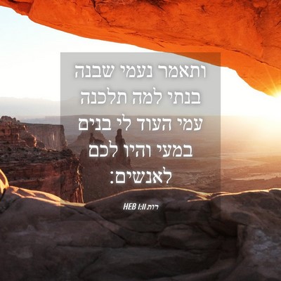 Picture 04 - רות 1:11 HEB - ותאמר נעמי שבנה בנתי למה - Bible Verse Picture