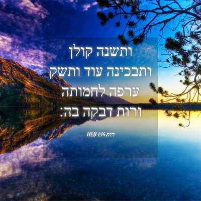 Picture 04 - רות 1:14 HEB - ותשנה קולן ותבכינה עוד - Bible Verse Picture