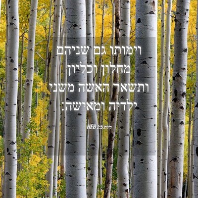 Picture 04 - רות 1:5 HEB - וימותו גם שניהם מחלון - Bible Verse Picture