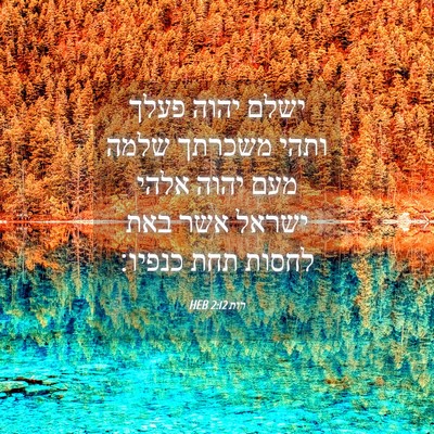 Picture 04 - רות 2:12 HEB - ישלם יהוה פעלך ותהי משכרתך - Bible Verse Picture
