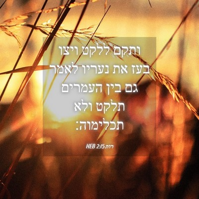 Picture 04 - רות 2:15 HEB - ותקם ללקט ויצו בעז את נעריו - Bible Verse Picture