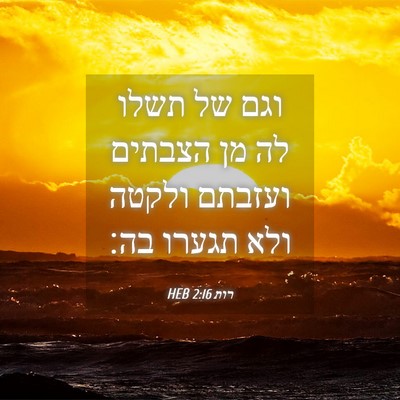 Picture 04 - רות 2:16 HEB - וגם של תשלו לה מן הצבתים - Bible Verse Picture