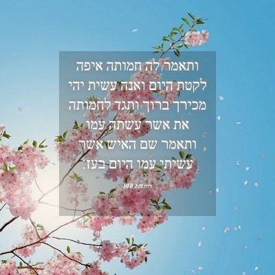 Picture 04 - רות 2:19 HEB - ותאמר לה חמותה איפה לקטת - Bible Verse Picture