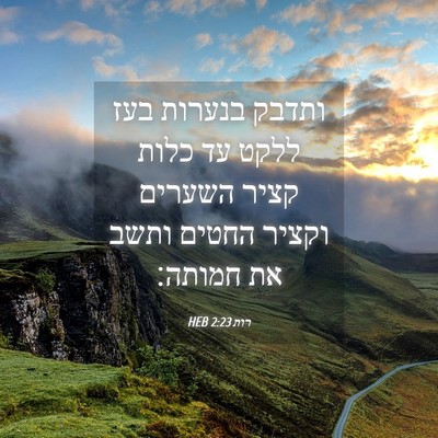 Picture 04 - רות 2:23 HEB - ותדבק בנערות בעז ללקט עד - Bible Verse Picture