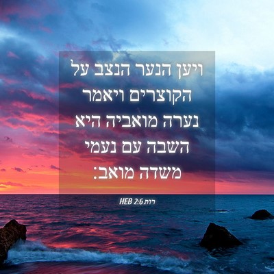 Picture 04 - רות 2:6 HEB - ויען הנער הנצב על הקוצרים - Bible Verse Picture