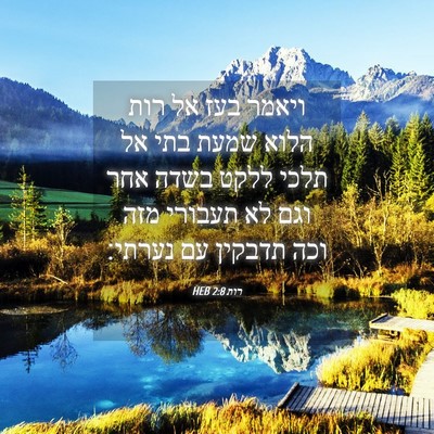 Picture 04 - רות 2:8 HEB - ויאמר בעז אל רות הלוא שמעת - Bible Verse Picture