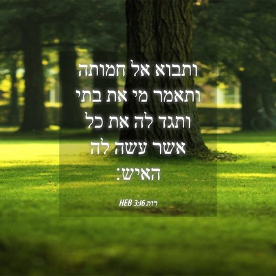 Picture 04 - רות 3:16 HEB - ותבוא אל חמותה ותאמר מי את - Bible Verse Picture