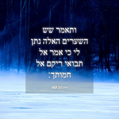 Picture 04 - רות 3:17 HEB - ותאמר שש השערים האלה נתן לי - Bible Verse Picture