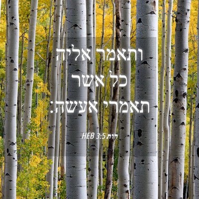 Picture 04 - רות 3:5 HEB - ותאמר אליה כל אשר תאמרי - Bible Verse Picture