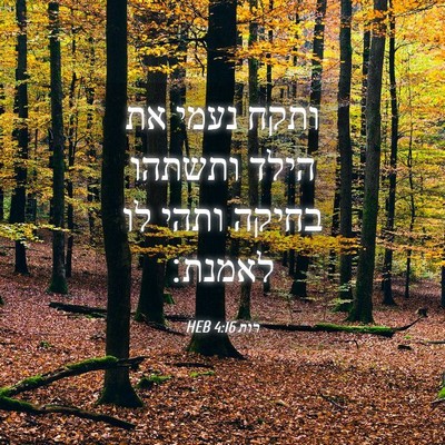 Picture 04 - רות 4:16 HEB - ותקח נעמי את הילד ותשתהו - Bible Verse Picture