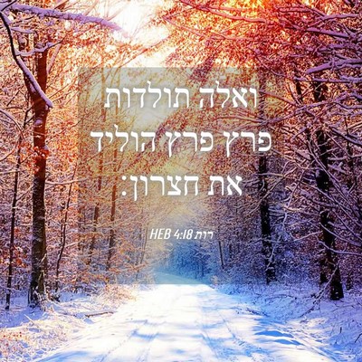 Picture 04 - רות 4:18 HEB - ואלה תולדות פרץ פרץ הוליד - Bible Verse Picture