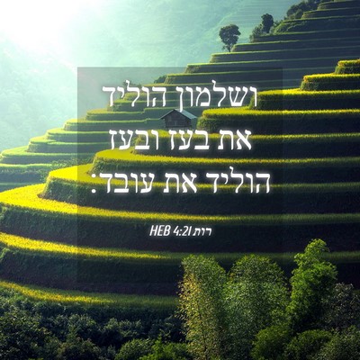 Picture 04 - רות 4:21 HEB - ושלמון הוליד את בעז ובעז - Bible Verse Picture