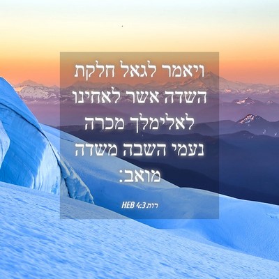 Picture 04 - רות 4:3 HEB - ויאמר לגאל חלקת השדה אשר - Bible Verse Picture