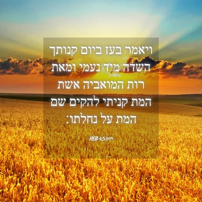 Picture 04 - רות 4:5 HEB - ויאמר בעז ביום קנותך השדה - Bible Verse Picture