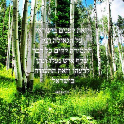 Picture 04 - רות 4:7 HEB - וזאת לפנים בישראל על - Bible Verse Picture