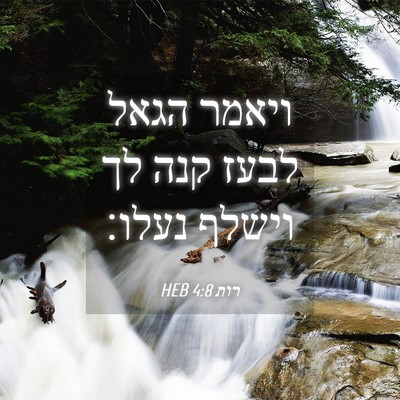 Picture 04 - רות 4:8 HEB - ויאמר הגאל לבעז קנה לך - Bible Verse Picture