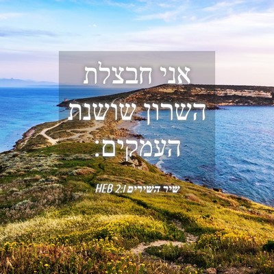 Picture 04 - שיר השירים 2:1 HEB - אני חבצלת השרון שושנת - Bible Verse Picture