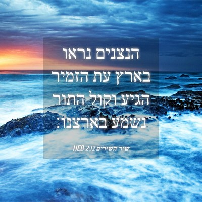 Picture 04 - שיר השירים 2:12 HEB - הנצנים נראו בארץ עת הזמיר - Bible Verse Picture
