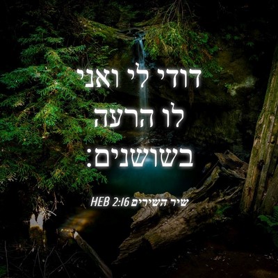 Picture 04 - שיר השירים 2:16 HEB - דודי לי ואני לו הרעה - Bible Verse Picture