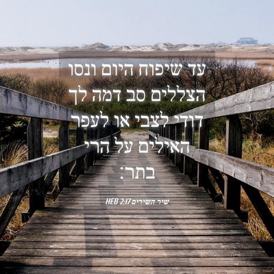 Picture 04 - שיר השירים 2:17 HEB - עד שיפוח היום ונסו הצללים - Bible Verse Picture