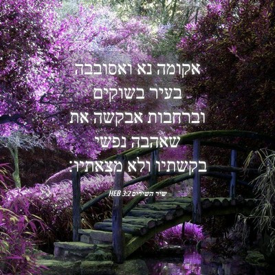 Picture 04 - שיר השירים 3:2 HEB - אקומה נא ואסובבה בעיר - Bible Verse Picture