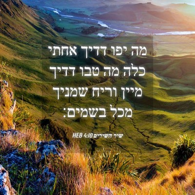 Picture 04 - שיר השירים 4:10 HEB - מה יפו דדיך אחתי כלה מה טבו - Bible Verse Picture
