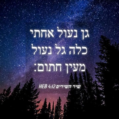 Picture 04 - שיר השירים 4:12 HEB - גן נעול אחתי כלה גל נעול - Bible Verse Picture