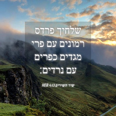 Picture 04 - שיר השירים 4:13 HEB - שלחיך פרדס רמונים עם פרי - Bible Verse Picture