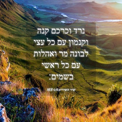 Picture 04 - שיר השירים 4:14 HEB - נרד וכרכם קנה וקנמון עם כל - Bible Verse Picture