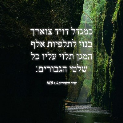 Picture 04 - שיר השירים 4:4 HEB - כמגדל דויד צוארך בנוי - Bible Verse Picture