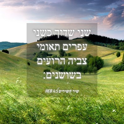 Picture 04 - שיר השירים 4:5 HEB - שני שדיך כשני עפרים תאומי - Bible Verse Picture