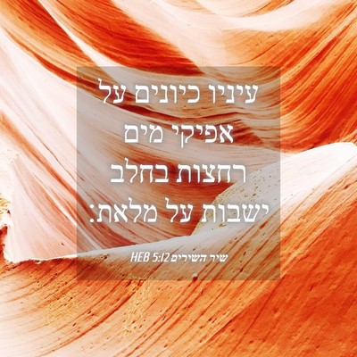 Picture 04 - שיר השירים 5:12 HEB - עיניו כיונים על אפיקי מים - Bible Verse Picture