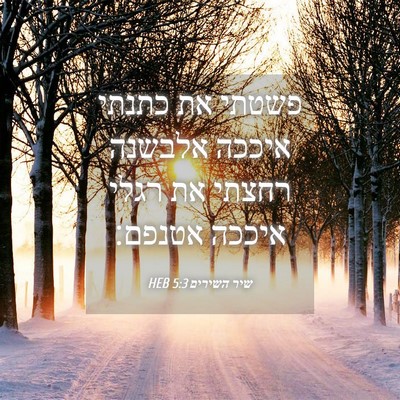 Picture 04 - שיר השירים 5:3 HEB - פשטתי את כתנתי איככה - Bible Verse Picture