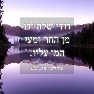 Picture 04 - שיר השירים 5:4 HEB - דודי שלח ידו מן החר ומעי - Bible Verse Picture