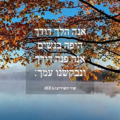 Picture 04 - שיר השירים 6:1 HEB - אנה הלך דודך היפה בנשים אנה - Bible Verse Picture