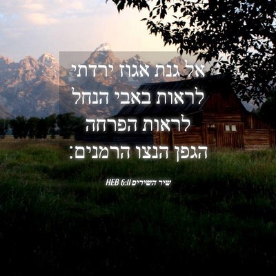 Picture 04 - שיר השירים 6:11 HEB - אל גנת אגוז ירדתי לראות - Bible Verse Picture