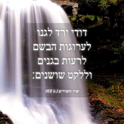 Picture 04 - שיר השירים 6:2 HEB - דודי ירד לגנו לערוגות הבשם - Bible Verse Picture