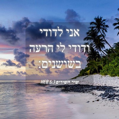 Picture 04 - שיר השירים 6:3 HEB - אני לדודי ודודי לי הרעה - Bible Verse Picture