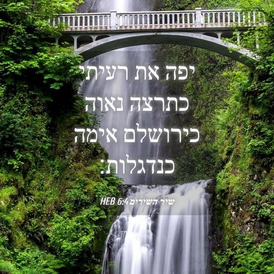 Picture 04 - שיר השירים 6:4 HEB - יפה את רעיתי כתרצה נאוה - Bible Verse Picture