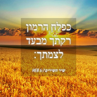 Picture 04 - שיר השירים 6:7 HEB - כפלח הרמון רקתך מבעד - Bible Verse Picture