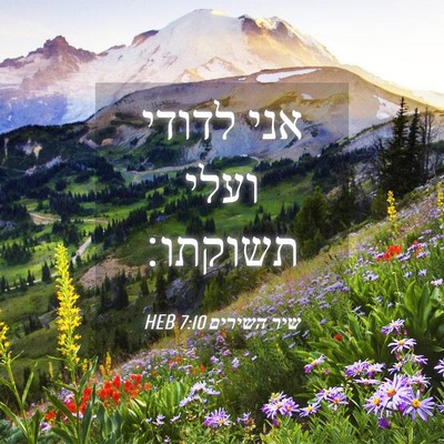 Picture 04 - שיר השירים 7:10 HEB - אני לדודי ועלי - Bible Verse Picture