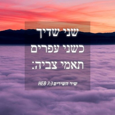 Picture 04 - שיר השירים 7:3 HEB - שני שדיך כשני עפרים תאמי - Bible Verse Picture