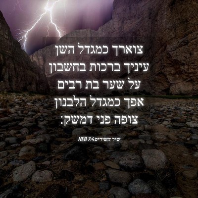 Picture 04 - שיר השירים 7:4 HEB - צוארך כמגדל השן עיניך - Bible Verse Picture