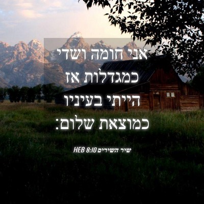 Picture 04 - שיר השירים 8:10 HEB - אני חומה ושדי כמגדלות אז - Bible Verse Picture