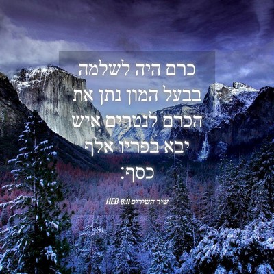 Picture 04 - שיר השירים 8:11 HEB - כרם היה לשלמה בבעל המון נתן - Bible Verse Picture