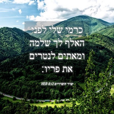 Picture 04 - שיר השירים 8:12 HEB - כרמי שלי לפני האלף לך שלמה - Bible Verse Picture