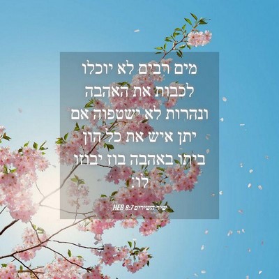 Picture 04 - שיר השירים 8:7 HEB - מים רבים לא יוכלו לכבות את - Bible Verse Picture