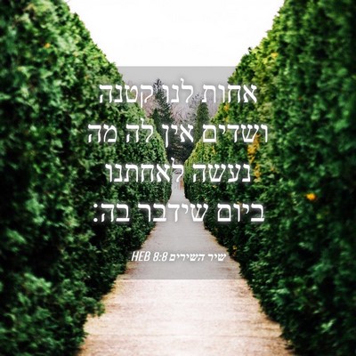 Picture 04 - שיר השירים 8:8 HEB - אחות לנו קטנה ושדים אין לה - Bible Verse Picture
