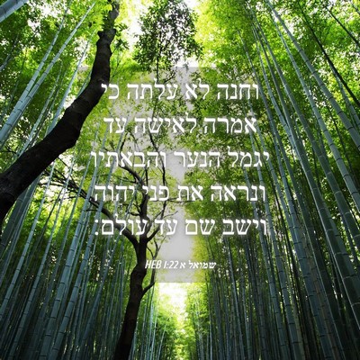 Picture 04 - שמואל א 1:22 HEB - וחנה לא עלתה כי אמרה לאישה - Bible Verse Picture